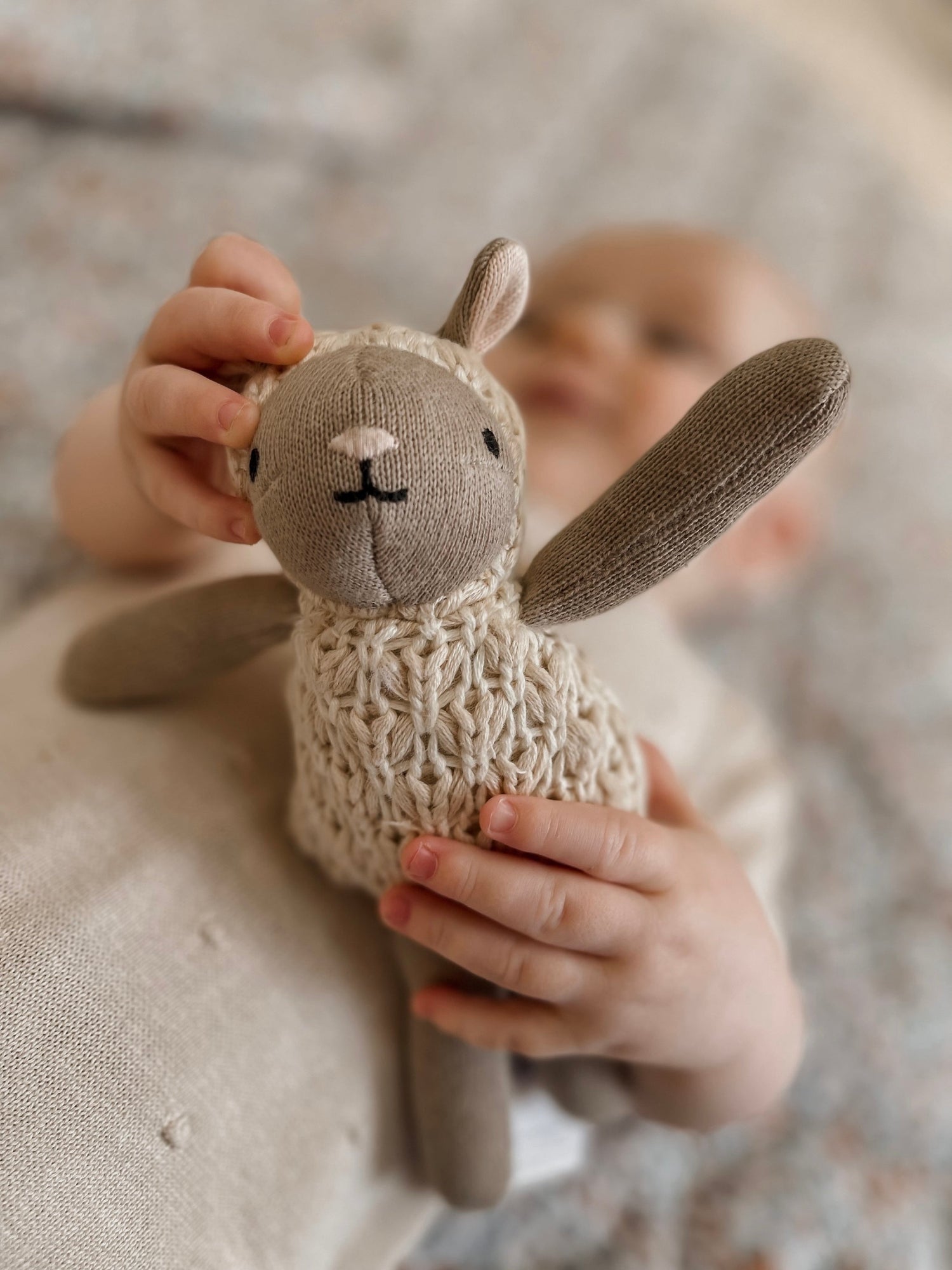 Soft Toys & Rattles