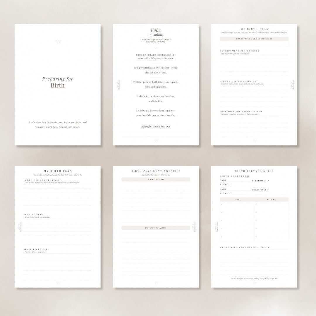 Pages of Pregnancy - Sage Pregnancy Journal