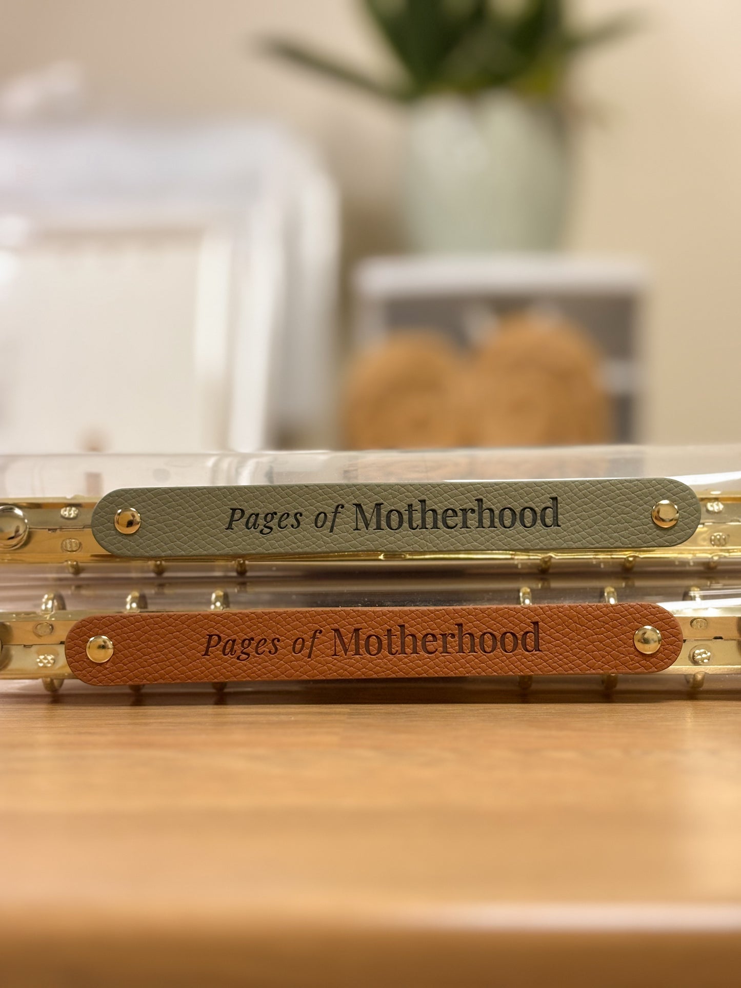 Pages of Pregnancy - Sage Pregnancy Journal