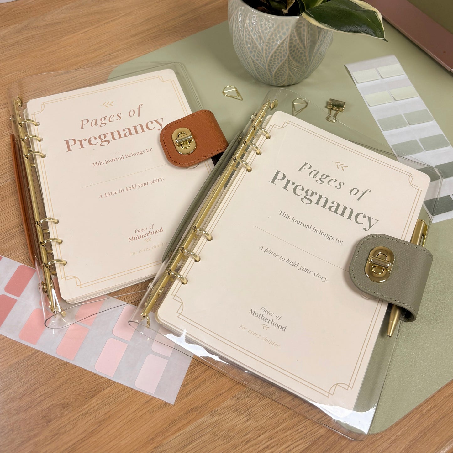 Pages of Pregnancy - Sage Pregnancy Journal