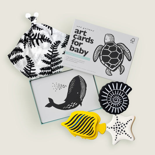 Play & Develop Newborn Bundle