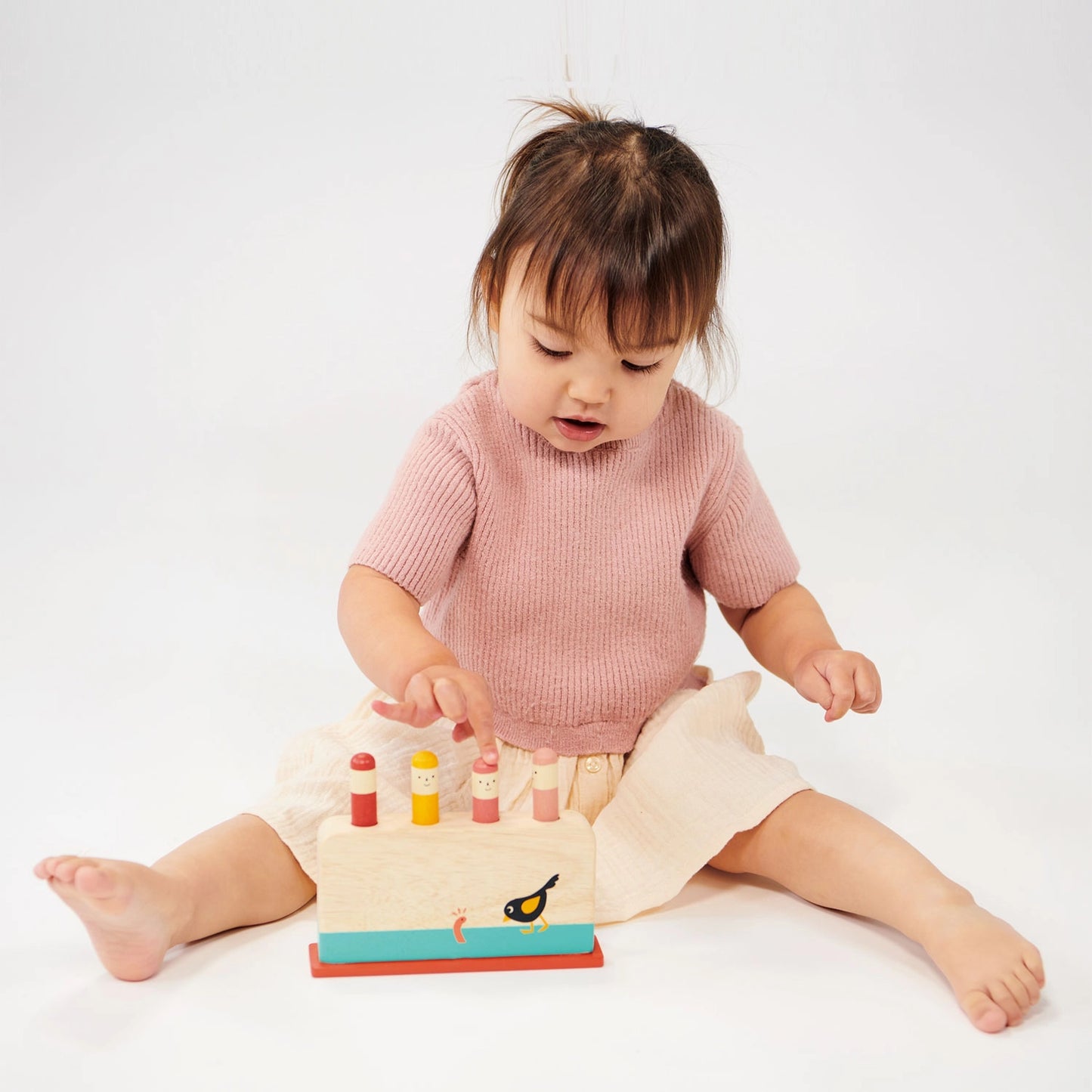 Wooden Toy Early Bird Pop Up For Kids